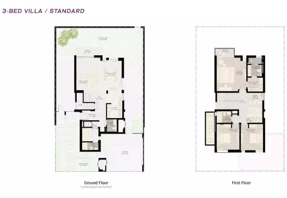Bed Layout